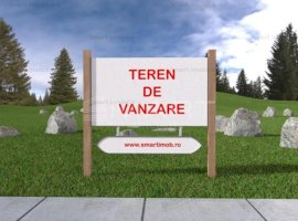 Teren 100.000 mp cu PUZ zona Prejmer