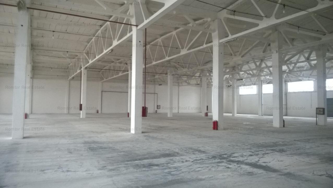 Industrial space area - BDUL TIMISOARA- Valea Cascadelor