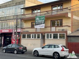 Ocazie! Vila P+1+M cu spatiu comercial la parter in zona Doamna Ghica