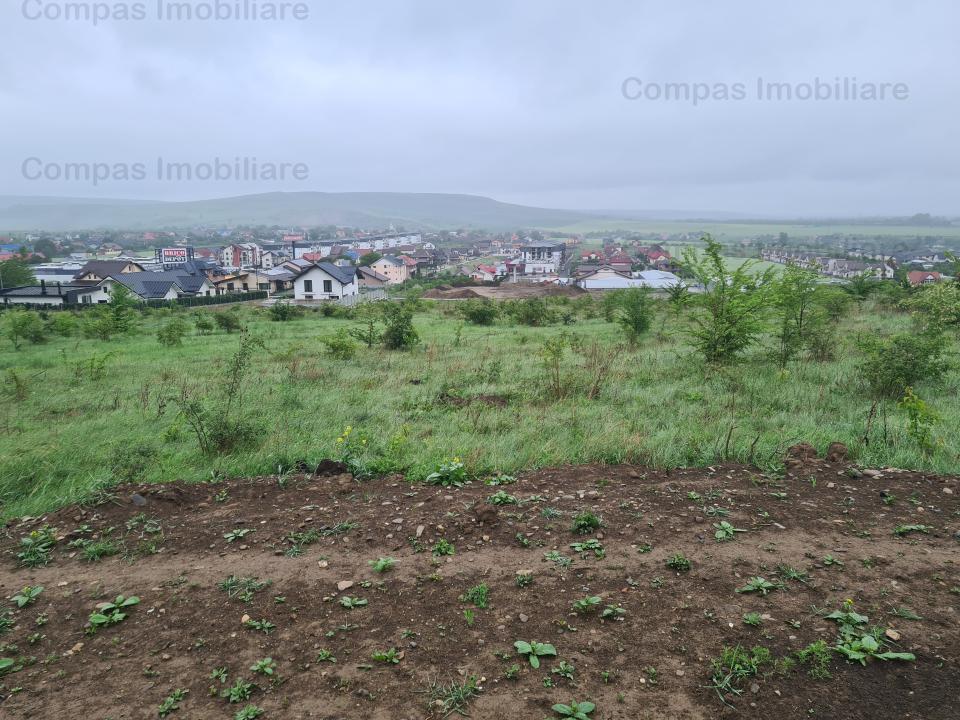 https://compasimobiliare.ro/ro/vanzare-construction-land/piatra-neamt/teren-in-spate-la-brico-depot_1609