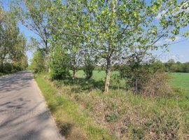 5 loturi de teren langa padure langa lacul Colacu, Dambovita