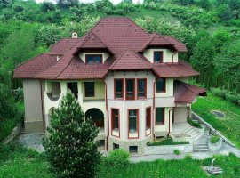 Vila in stil Neoromanesc in zona exclusivista a orasului Piatra Neamt