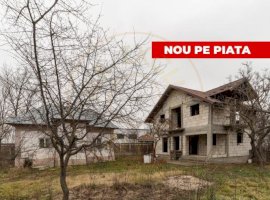 Cămin primitor la tara-casa veche locuibila + casa noua in construcție 