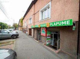 Investiție profitabilă: Spațiu comercial, Str Lacului, Arad