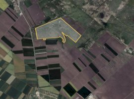 Teren 42 ha pentru parc fotovoltaic – Macea, Arad