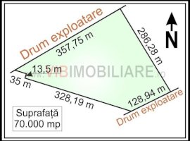 Mogosoaia - Ciupercarie, teren extravilan, suprafata 70.000 mp