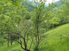 Teren de vânzare în Comarnic  - Zona Posada