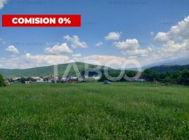 Teren intravilan 1000 mp Talmaciu zona Armeni Front 31 m comision  0%
