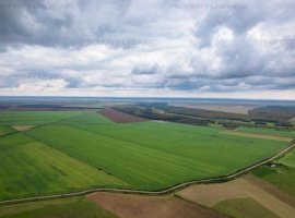Teren arabil de 13.32 hectare în Hudești