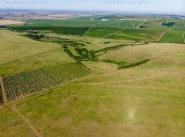 Teren arabil de 33.73 hectare în Ungureni