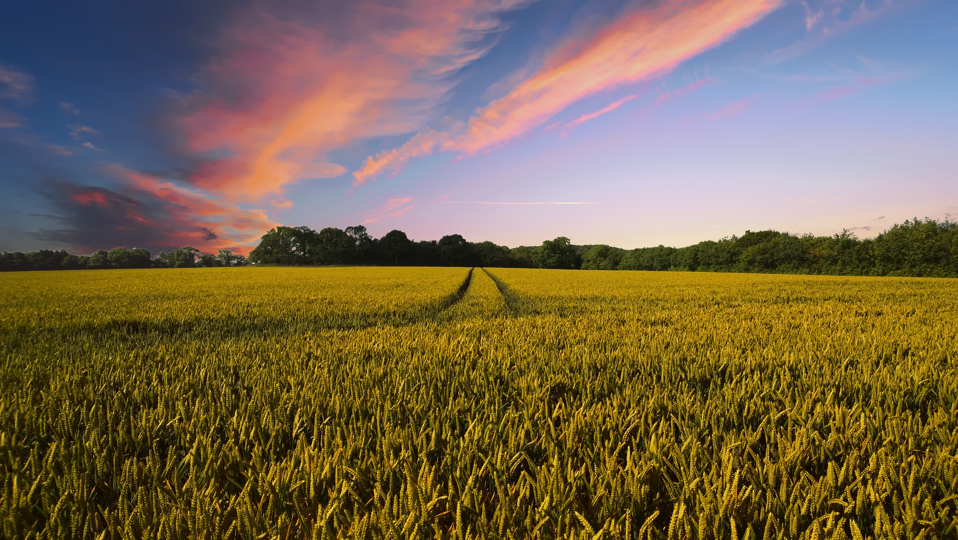 Unul dintre cei mai bogati chinezi, interesat de achizitia de terenuri agricole in Romania